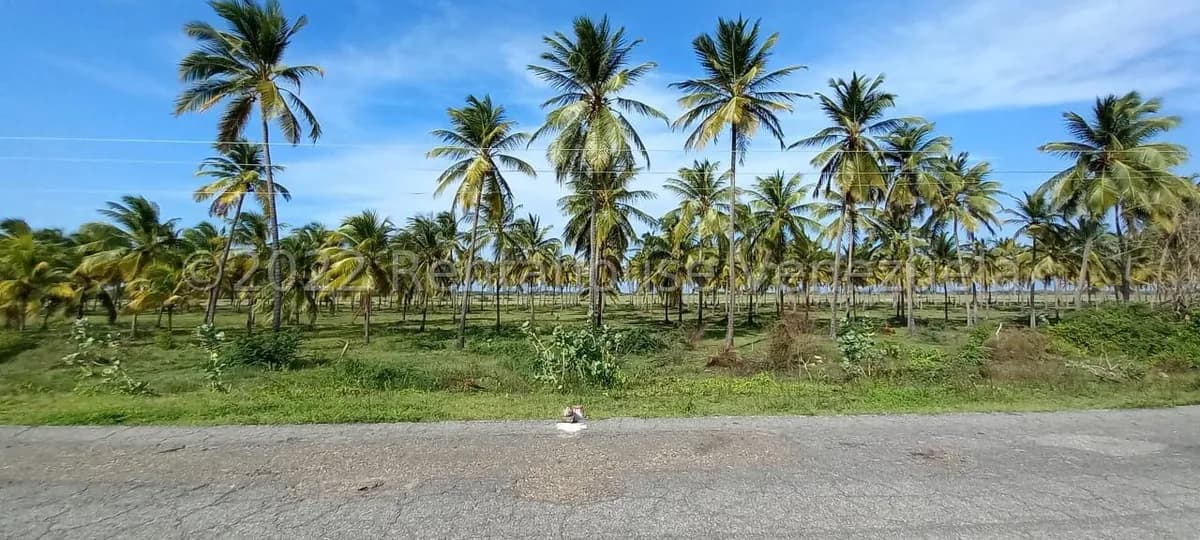 Terreno (Finca) en Venta en Boca del Mangle, Falcon