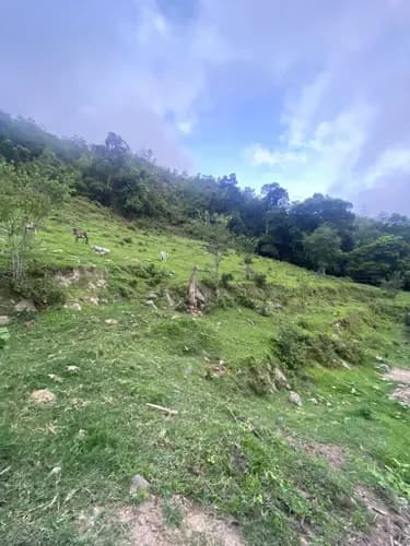 Terreno En Venta En Pericos