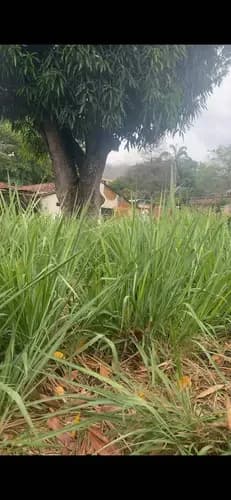 Np Venta De Terreno En La Viña Código 324795