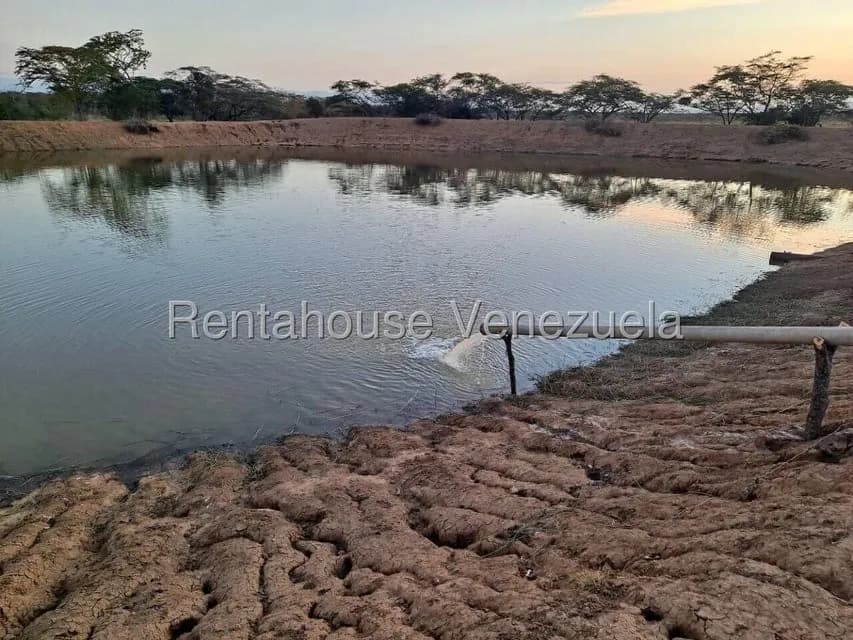 Terreno (Finca) en Venta en Municipio Torres, Lara