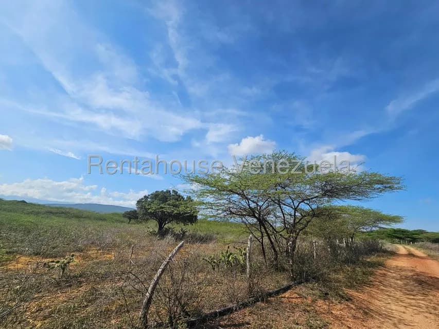 Terreno (Comercial) en Venta en Intercomunal Coro La Vela, Falcon