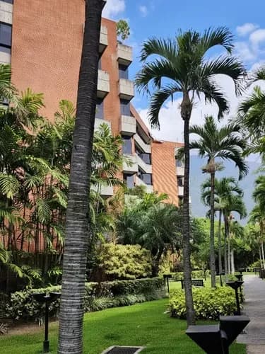 Vendo Hermoso Ph Con Terraza En Los Chorros