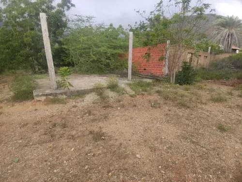 Home24 Islas Vende Terreno Sabana De Guacuco Arismendi, Nueva Esparta
