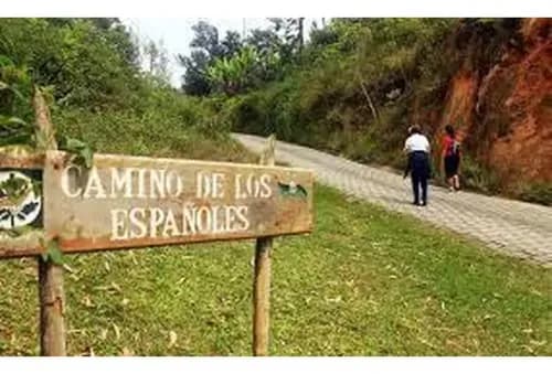 Dos Casas En Venta Con 5000m2 De Terreno En La Pastora Caracas
