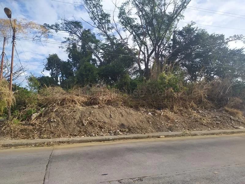 Terreno (Residencial) en Venta en Manantial, Carabobo