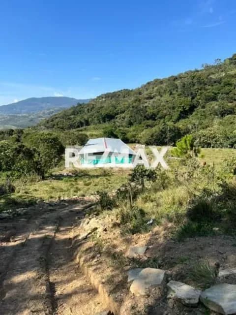 Excelente Granja avícola productiva vía Casa el Padre