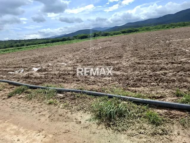 Productiva Parcela Agrícola en venta ideal para Siembra de hortalizas