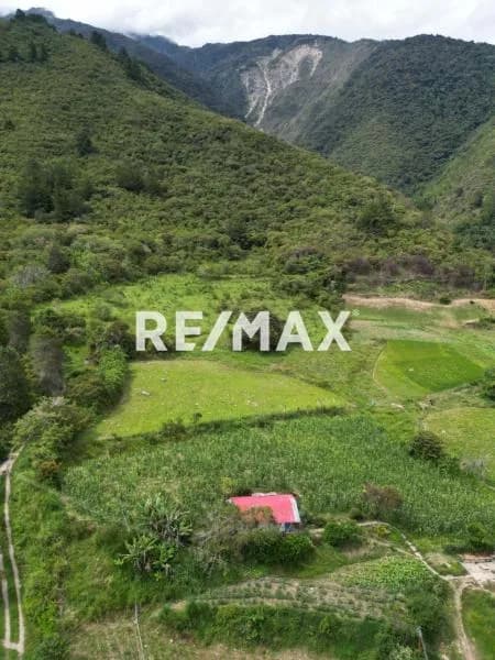 En venta finca privilegiada en una zona fértil