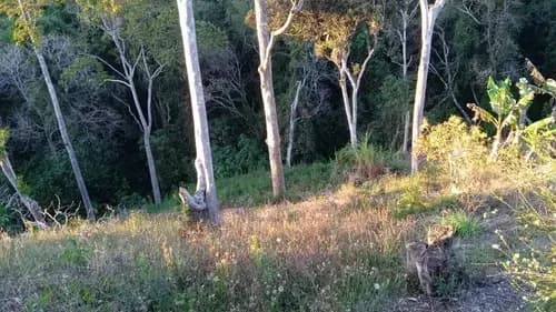¡súper Económico! Gran Terreno De 2600 Mtrs2 Se Vende En El Junquito - La Niebla