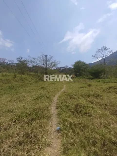 Terreno. Venta. Palmira