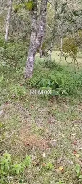 En venta parcela ubicada en la aldea potrero de las casas