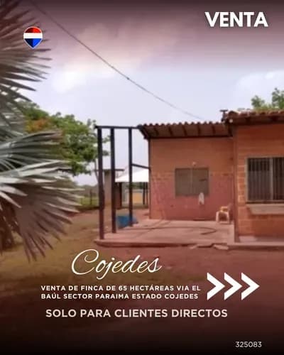 Venta De Finca De 65 Hectáreas Via El Baúl Sector Paraima Estado Cojedes 325083 Solo Clientes Directos