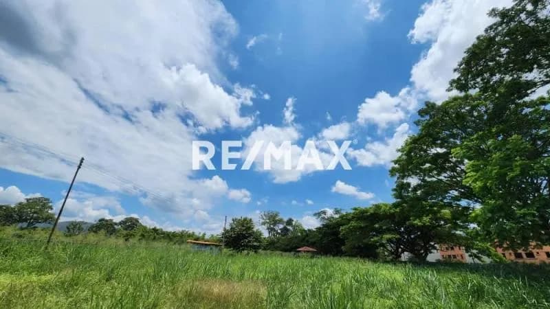 Venta terreno en San Diego, detrás de Tulipan