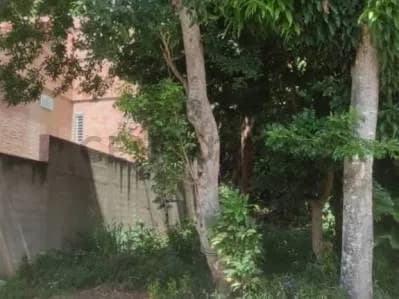 Terreno en Venta en La Trinidad , Coracrevi