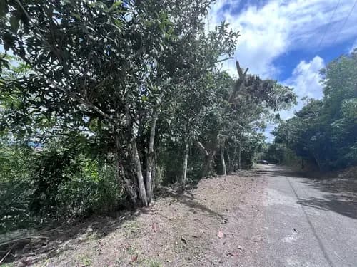 Vendo Terreno De 9.000 M2, Fácil Acceso, Uso Agricola Y Recreacional, Ref. 25.000 - San Antonio De Los Altos