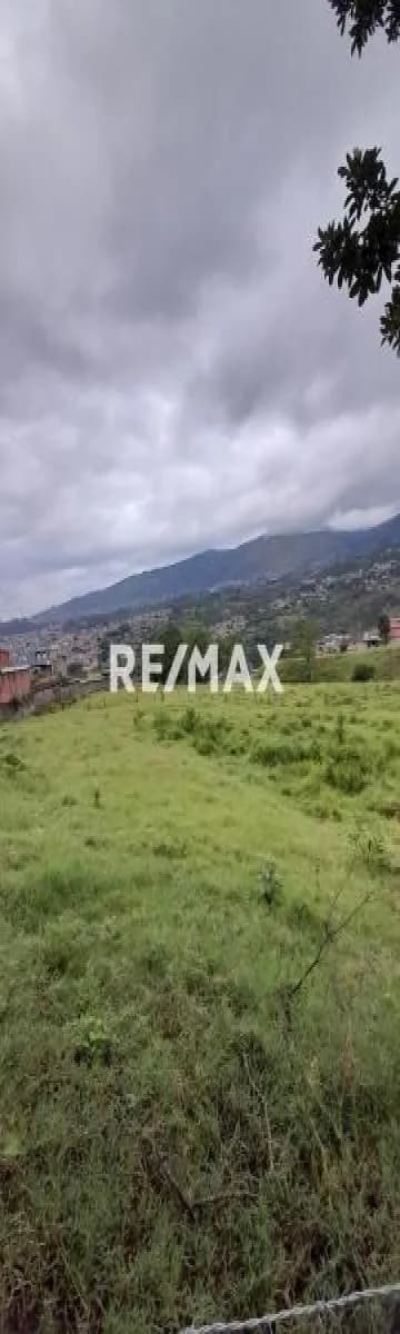 Terreno en Arjona