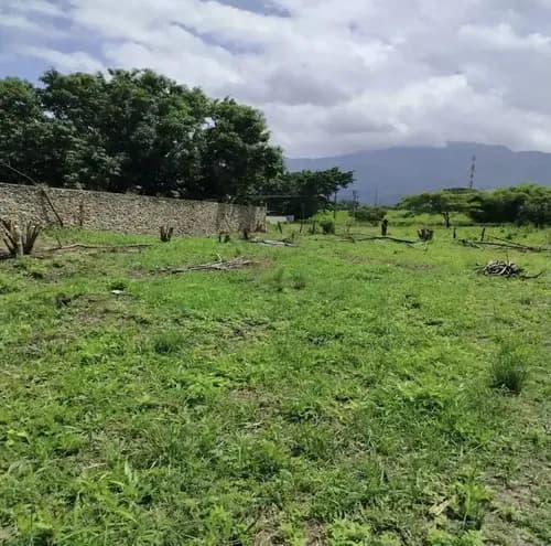 Terreno En Venta En San Diego La Cumaca Ls