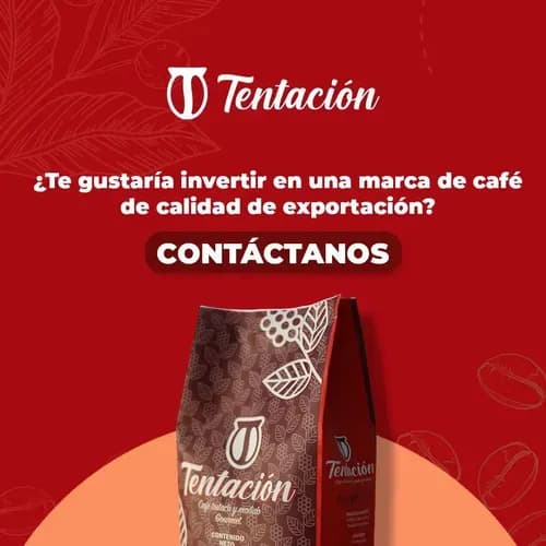 Jl Guadalupe Nunes, Cafe Tentacion