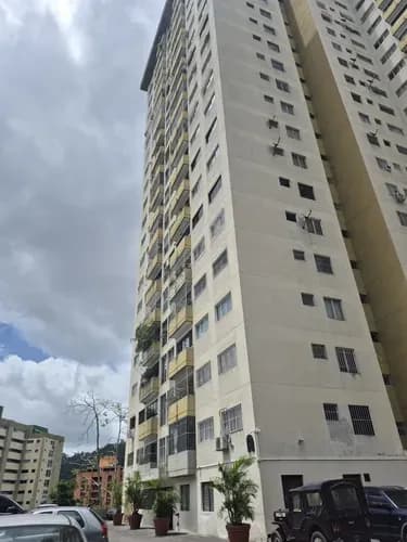 Flor De Luna (ld)