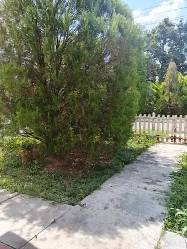 Ofrece Parcela Ubicada En La Morocha Iv San Diego ( La Cual Posee Dos Casas Para Remodelar Al Gusto)* Consta De: 1001 Mtrs De Terreno Casa Principal (chalet De 2 Plantas): 4 Hab (3 Arriba Y 1 En P