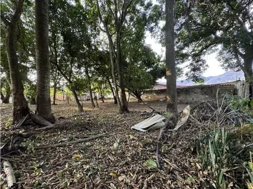 Terreno En Piñal 1900mtr | El Limon, Maracay Edo Aragua