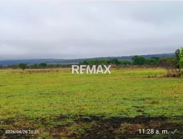Venta de Finca 130 ha las cajara