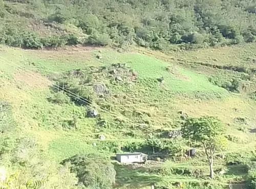 Venta Finca Uso Agrícola En Los Pavones Edo Trujillo