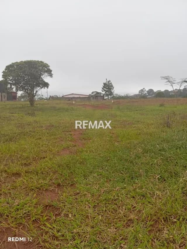 *Venta de Terreno* Ubicado en LOMAS BLANCAS de Cordero