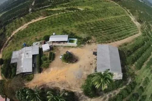 Inmobiliaria Inversiones Degemajo Vende Finca Ganadera De 56 Has, En Temerla Municipio Nirgua Edo Yaracuy