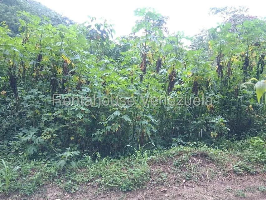 Terreno (Residencial) en Venta en El Hatillo, Distrito Metropolitano