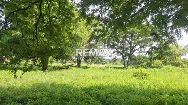Se Vende Terreno Privado , Ubicado en Algodonal Av. 1 Parcela SN Araure, esta en toda la entrada de la troncal 5 en plena carretera principal