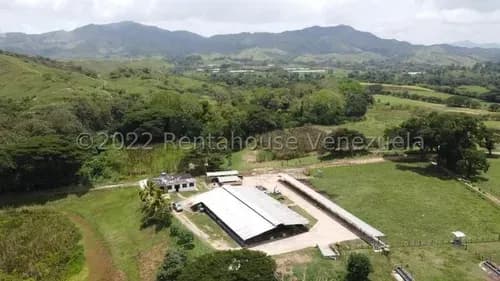 Julio Latouche 25-16896 Finca Ganadera Carabobo Belen, Hermosa, 267 Hectáreas, Casa Colonial Y Casa De Obreros, Vaquera.