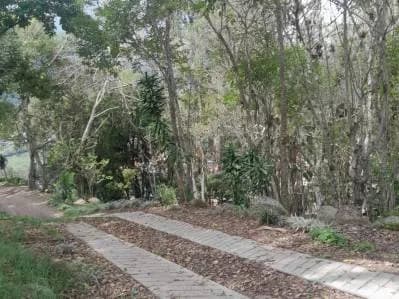 Venta Terreno La Grita La Meseta