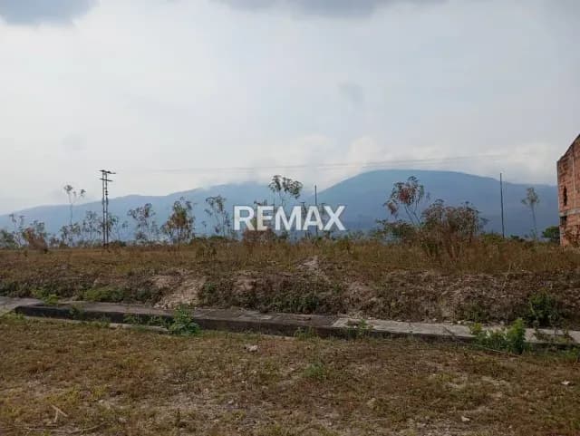 en venta 103 Parcelas ubicadas en el junco