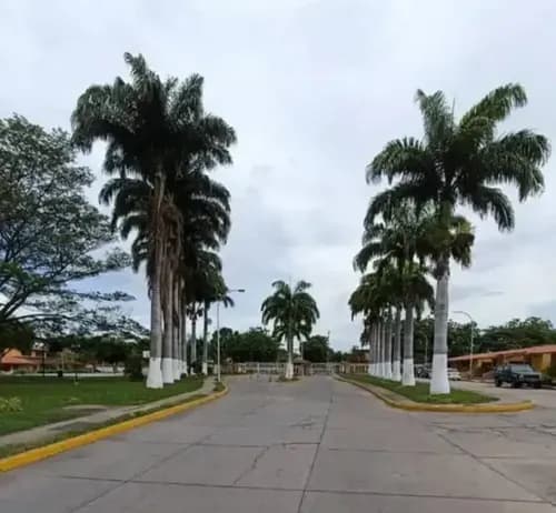 Tree007 En Venta Town House Laguna Club Resistencial Sector Los Jarales San Diego $56.000