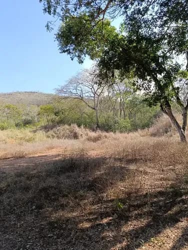 (hl28) Vendo Terreno En La Cumaca Ideal Para Complejo Deportivo O Viviendas Unifamiliares