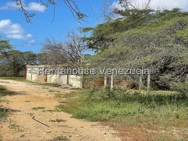 Terreno (Comercial) en Venta en Pueblo Nuevo, Falcon