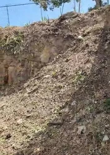 ¿buscas El Lugar Perfecto Para Tu Próximo Hogar? Este Terreno En Las Palmas Es Tu Mejor Opción (m.c)