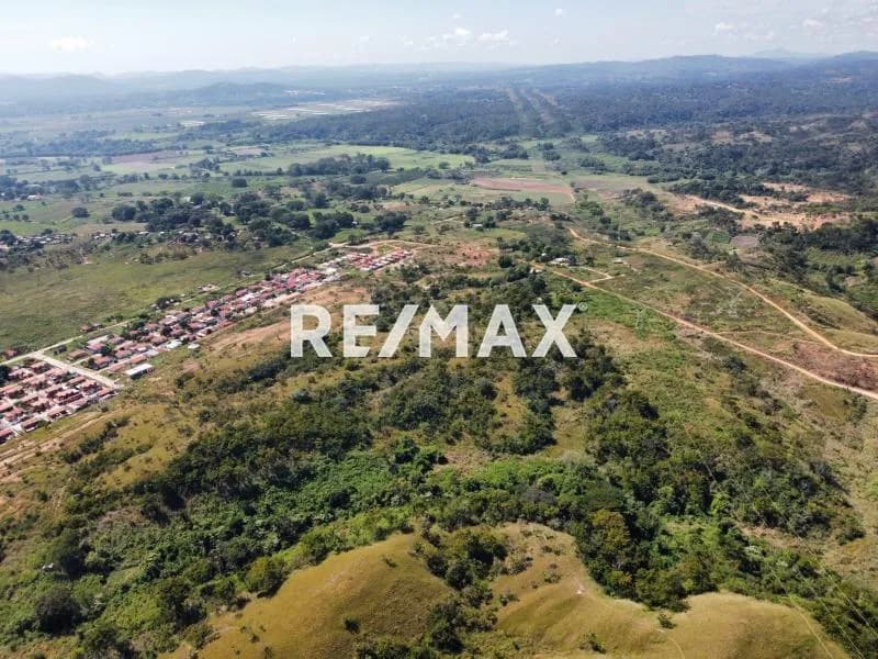 VENTA DE TERRENO PARA PROYECTO DE DESARROLLO HABITACIONAL. EN TOCUYITO. CON PERMISOS.