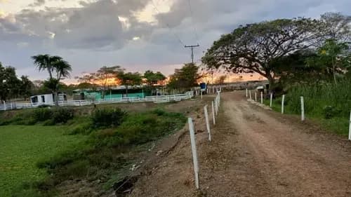 Venta De Finca 6000m2 De Alta Productividad En Arismendi Oportunidad De Inversion. A1. Solo Clientes