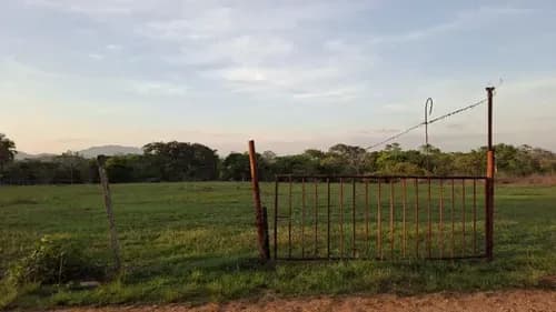 Ludeisi Zerpa 326937, Venta De Parcela En Sabana Del Medio, Cerca De Pueblo Vaquero, Barrera