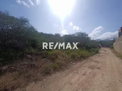 PARCELA DE TERRENOS AMPLIAS, EN LOS ROBLES, SECTOR LOS CHACOS