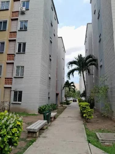Zurely Ofrece Apartamento Planta Baja, Urb. Terrazas De San Diego. (solo Clientes) Nlb-inp