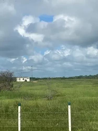 Ss Solo Clientes Directos Terreno En Chichiriviche