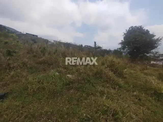 Terreno. Venta. Palmira