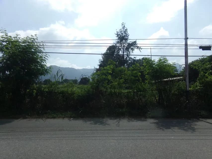 Terreno (Comercial) en Venta en Sabana del Medio, Carabobo