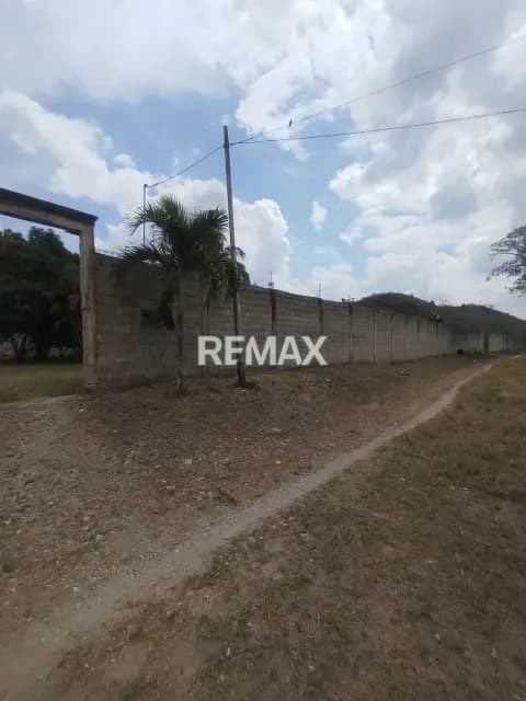 Granja venta Palavecino