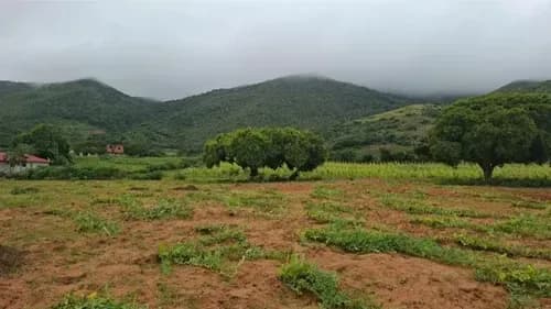 Lote De Terreno Playa El Agua ((manzanillo) Margarita Sl