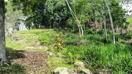 Atencin Inversionista En Venta Terreno En La Urb. Carialinda Consta 6.220mt2 Y Cuenta Con Proyecto Aprobado Por Ingeniera Municipal Para La Construccin De Vivienda Unifamiliar,