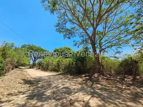 En Venta 11.8 Hectareas De Terreno Plano En Tocuyito - Municipio Libertador Carabobo. (inm 26-16802). Para Realizar Cualquier Tipo De Proyectos Sostenibles. Solo Clientes